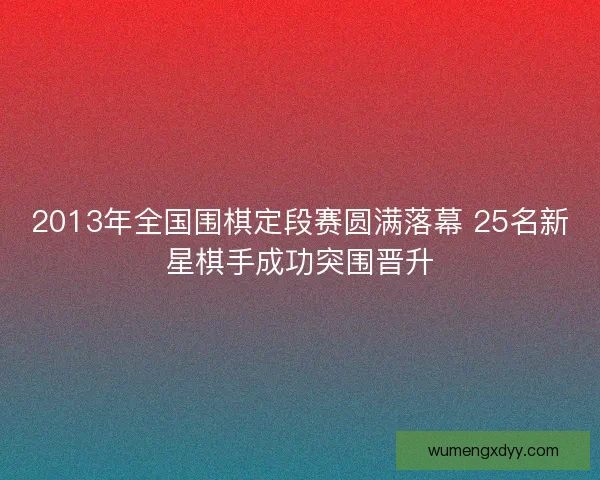 2013年全国围棋定段赛圆满落幕 25名新星棋手成功突围晋升